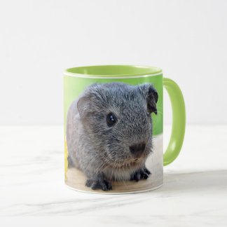 Guinea Gris med Flower Mugg