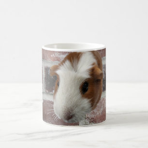 Guinea gris Mugg