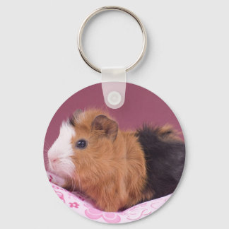 Guinea gris nyckelring