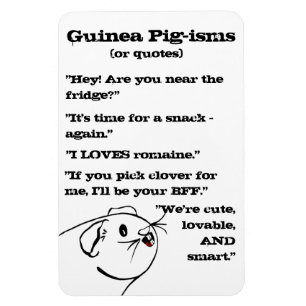 Guinea Gris Ord Magnet