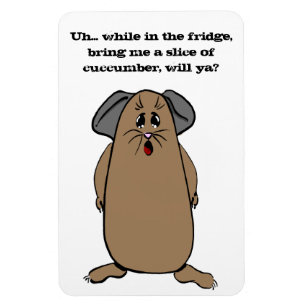 Guinea Gris Ord Magnet