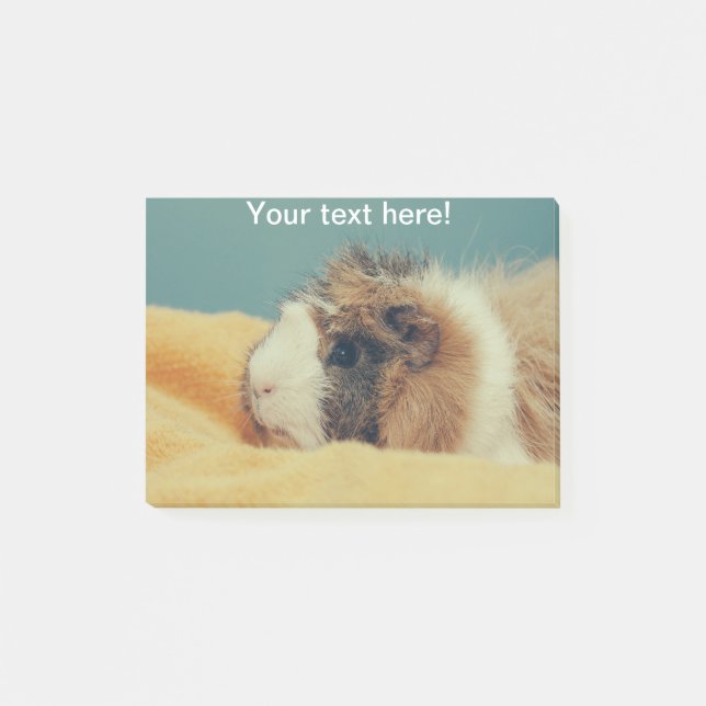 Guinea gris post-it block (Framsida)