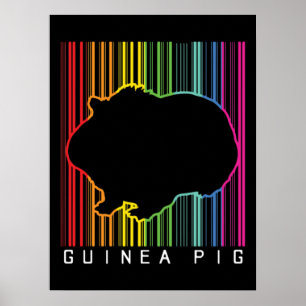 Guinea gris poster