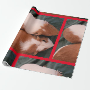 Guinea gris presentpapper
