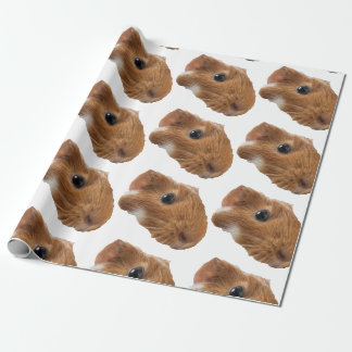 Guinea gris presentpapper