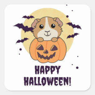 Guinea Gris Pumpkin Sweet Animals Happy halloween Fyrkantigt Klistermärke