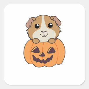 Guinea Gris Pumpkin Sweet Animals Happy halloween Fyrkantigt Klistermärke