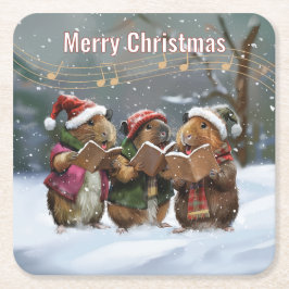 Guinea Gris Sång Singers Underlägg Papper Kvadrat