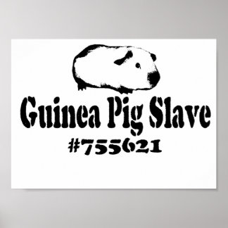 Guinea Gris Slave Poster