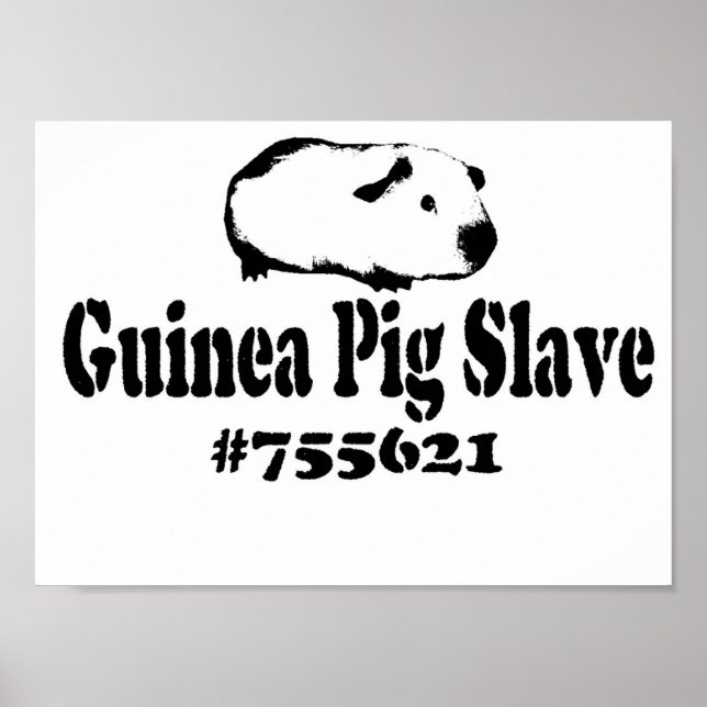 Guinea Gris Slave Poster (Framsidan)