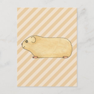 Guinea Gris. Vykort