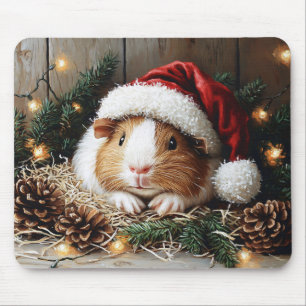 Guinea Gris Wearing a Santa Hat Musmatta