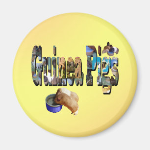 Guinea Grisar är Ord, Magnet