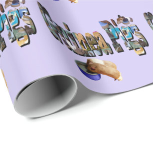 Guinea Grisar är Ord, som slår Pappert Presentpapper