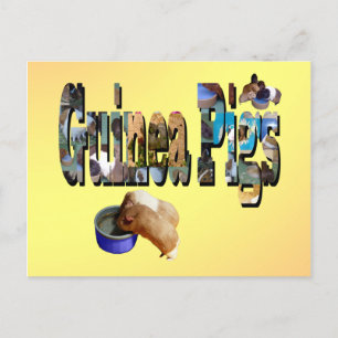 Guinea Grisar är Ord, vykort