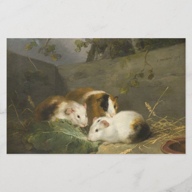 Guinea Grisar (av George Morland) Brevpapper (Framsida)