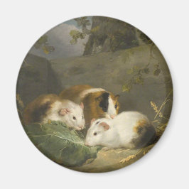 Guinea Grisar (av George Morland) Magnet