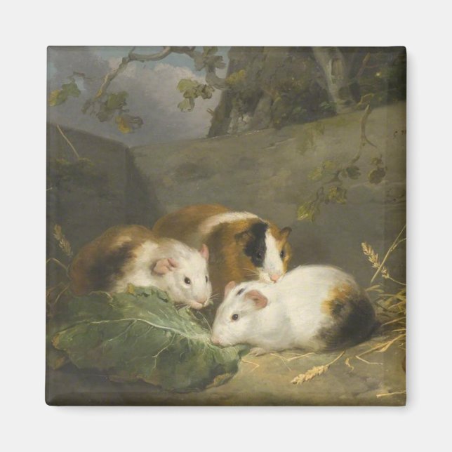 Guinea Grisar (av George Morland) Magnet (Framsidan)