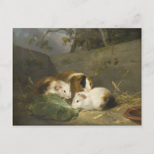 Guinea Grisar (av George Morland) Vykort