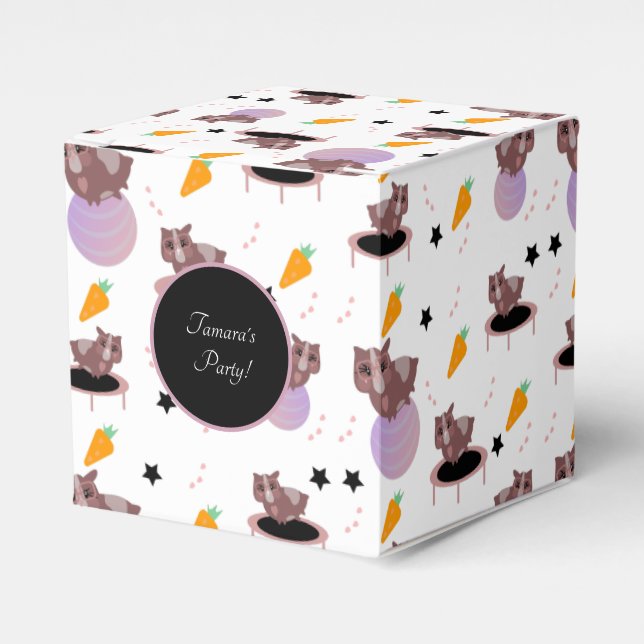 Guinea Grisar Fitness Gym Presentaskar (Framsidan Sidan)