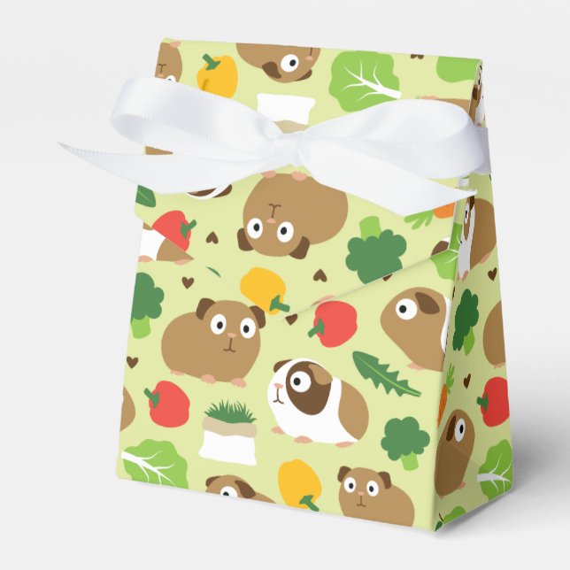 Guinea-Grisar och deras terapi Presentaskar (Framsidan Sidan)