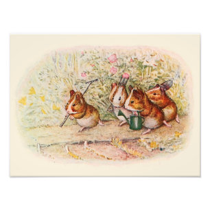 Guinea Grisar och Garden Verktyg Fototryck