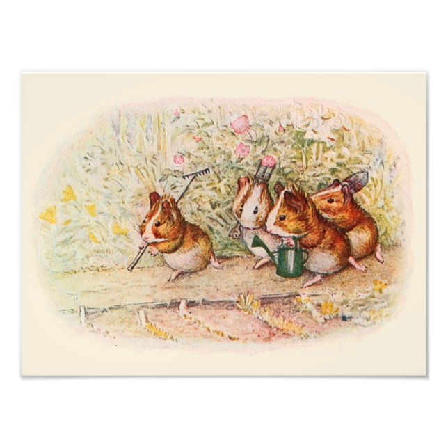 Guinea Grisar och Garden Verktyg Fototryck (Framsidan)