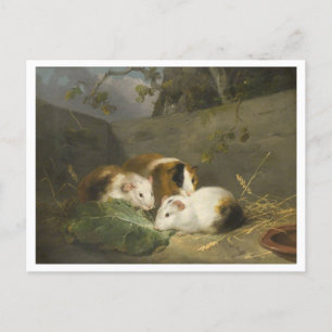 Guinea Grisar Painting av George Morland Vykort