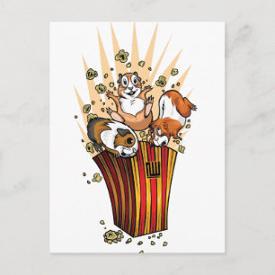Guinea Grisar Popcorn Vykort