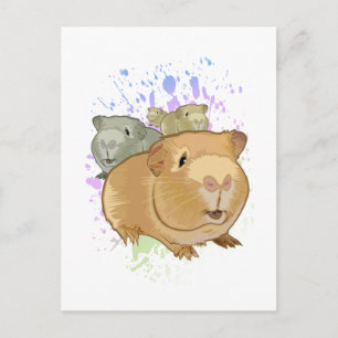 Guinea Grisar Vykort