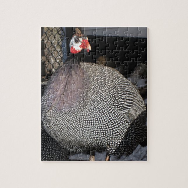 Guinea Hen Jigszawa Puzzle Pussel (Vertikal)