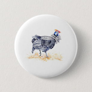 Guinea hen knapp
