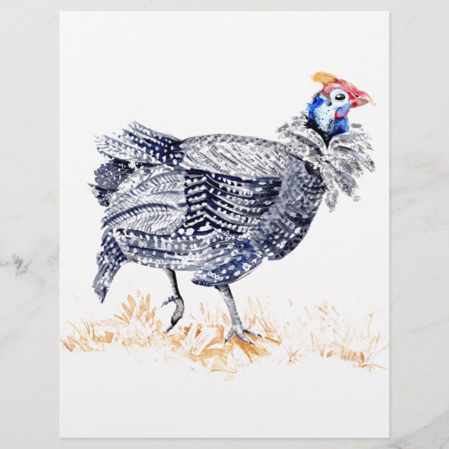 Guinea hen reklamblad (Framsidan)