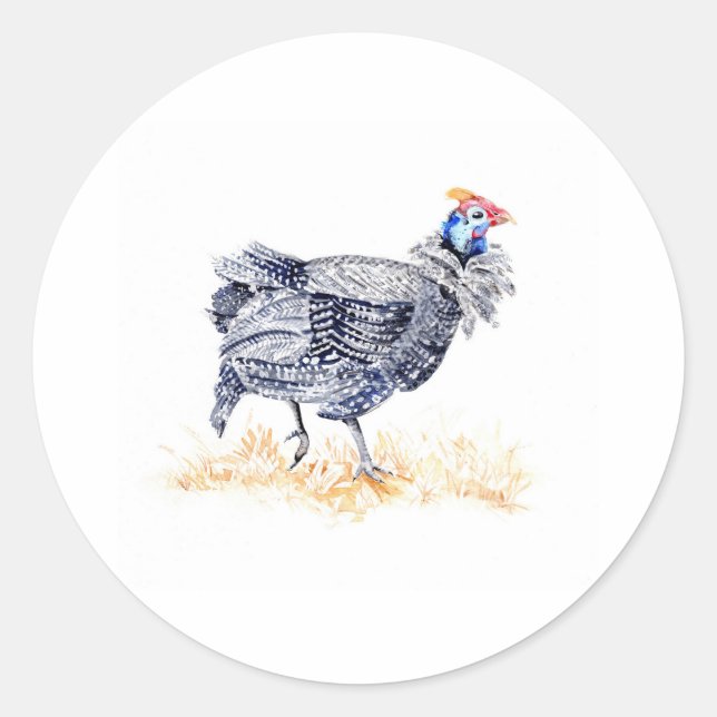 Guinea hen runt klistermärke (Framsida)