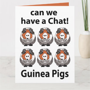 Guinea kan ha en Chatta på Grisar i Guinea Kort