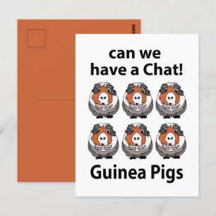 Guinea kan ha en Chatta på Grisar i Guinea Vykort