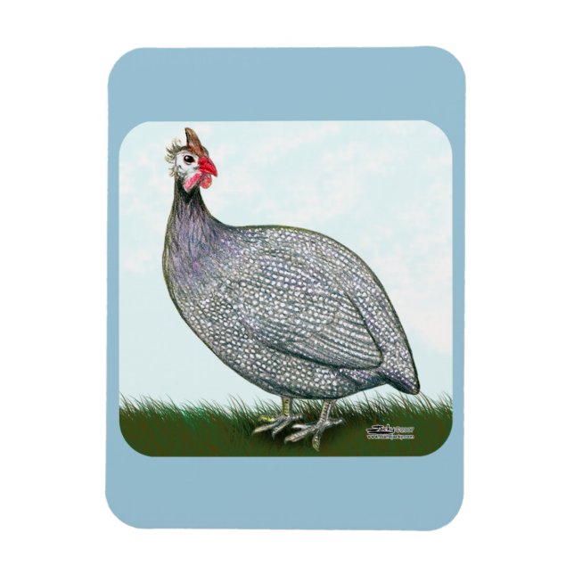 Guinea Lavender On Watch Magnet (Vertikal)