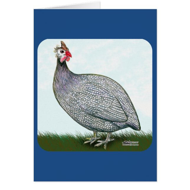 Guinea Lavender On Watch OBS Kort (Framsidan)