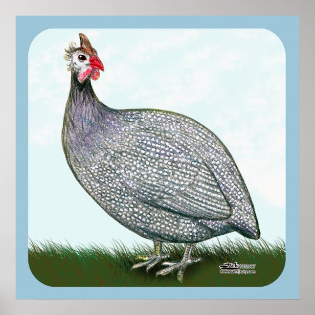 Guinea Lavender On Watch Poster (Framsidan)