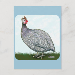 Guinea Lavender On Watch Vykort