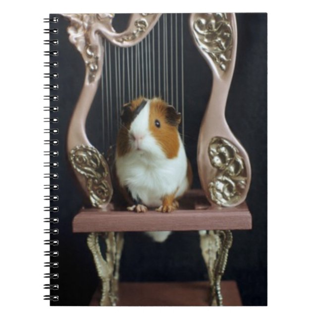 Guinea Pig Harp Notebook – Whimsical Storybook Anteckningsbok (Framsidan)