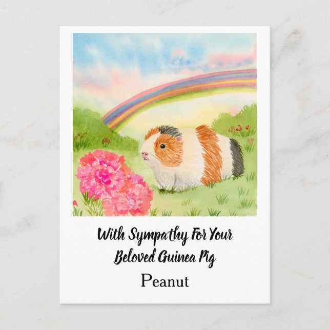 Guinea Pig Rainbow Sympathy with Carnations Name Vykort (Framsida)
