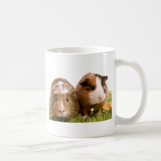 guinea pigs on a lawn kaffemugg (Höger)