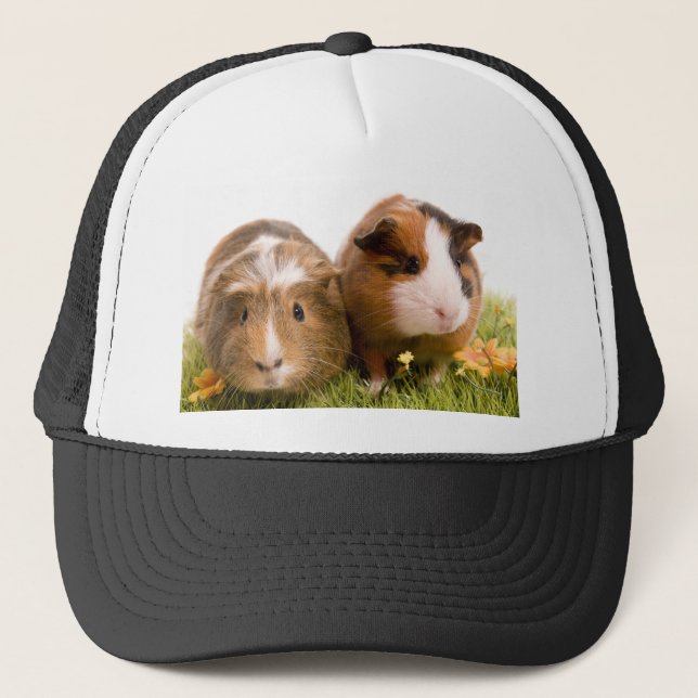 guinea pigs on a lawn truckerkeps (Framsida)
