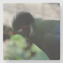 GUINEA TURACO MARmor UNDERLÄGG Sten