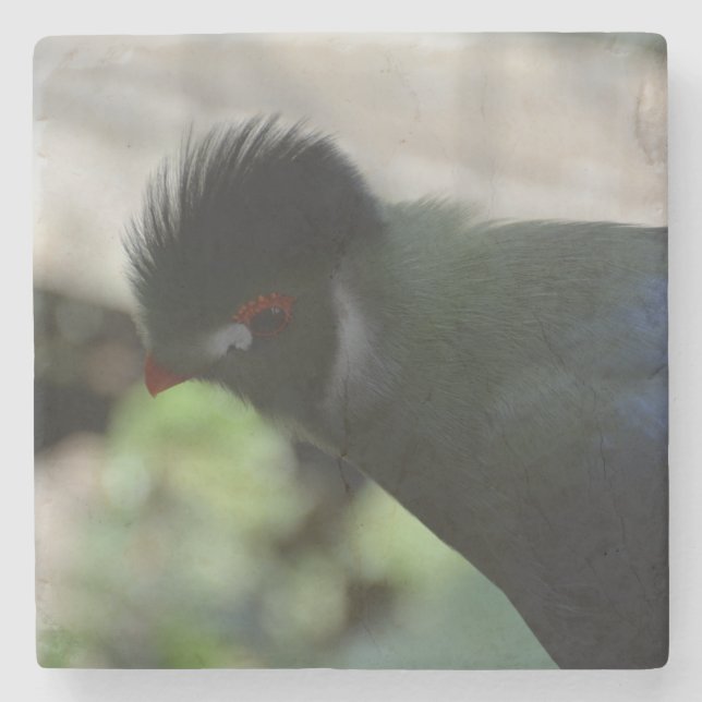 GUINEA TURACO MARmor UNDERLÄGG Sten (Framsidan)