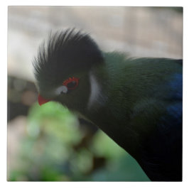 GUINEA TURACO TILE ART KAKELPLATTA