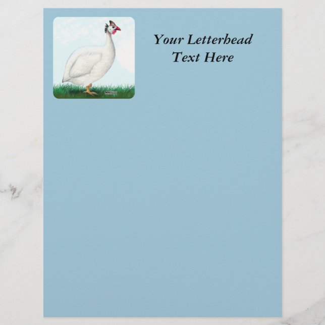 Guinea White (Framsida)