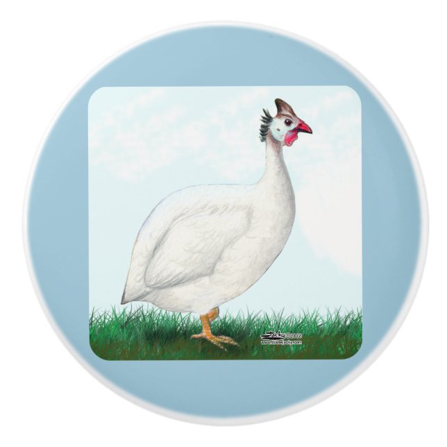 Guinea White Knopp (Framsidan)