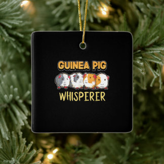 Guineanska Gris Guinea Gris Whisperer Cute Cavy Julgransprydnad Keramik